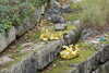20221112132421-DSCN4637.JPG