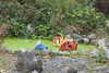20221112132428-DSCN4638.JPG