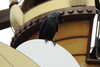 20221112132632-DSCN4642.JPG
