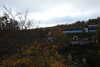 20221112135433-DSCN4652.JPG