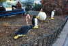 20221112154809-DSCN4661.JPG