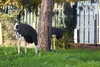 20221112162524-DSCN4670.JPG