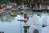 20221112171725-DSCN4745.JPG