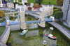 20221112172144-DSCN4764.JPG