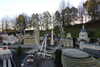20221112172203-DSCN4768.JPG