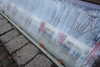20221112172504-DSCN4782.JPG