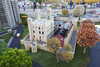 20221112173316-DSCN4809.JPG