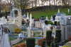 20221112173532-DSCN4818.JPG