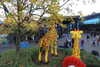 20221112175521-DSCN4826.JPG