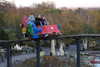 20221112175738-DSCN4845.JPG