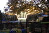 20221112182643-DSCN4850.JPG