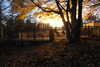 20221112183801-DSCN4852.JPG