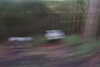 20221112184428-DSCN4857.JPG