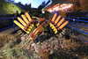 20221112185905-DSCN4860.JPG