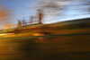 20221112190450-DSCN4863.JPG