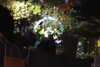 20221112191038-DSCN4868.JPG