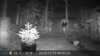 2022-11-13:Invicta Wildlife
