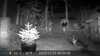 2022-11-15:Invicta Wildlife
