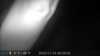 2022-11-16:Invicta Wildlife
