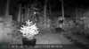 2022-11-22:Invicta Wildlife
