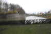 20221203174807-DSCN4900.JPG