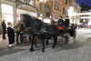 20221203182334-DSCN4957.JPG