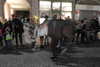 20221203182732-DSCN4967.JPG