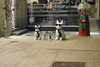 20221203202322-DSCN5042.JPG