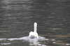 20221204113131-DSCN5062.JPG