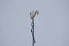 20221204125513-DSCN5076.JPG