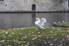 20221204133708-DSCN5087.JPG
