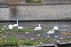 20221204133733-DSCN5089.JPG
