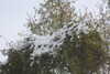20221214125751-DSCN5141.JPG