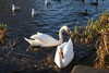 20221226145228-DSCN5152.JPG
