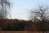 20221226145247-DSCN5154.JPG