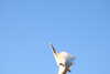 20221226145253-DSCN5155.JPG