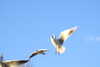 20221226145307-DSCN5157.JPG