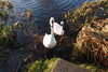 20221226145416-DSCN5162.JPG