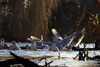 20221226150024-DSCN5175.JPG