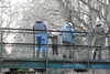 20221226153548-DSCN5188.JPG
