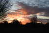 20221226155231-DSCN5191.JPG