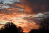 20221226155235-DSCN5192.JPG