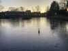 2023-01-19:Icy Chislehurst Pond
