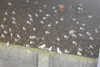 20230216224914-DSCN5202.JPG