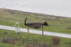 20230218125129-DSCN5227.JPG