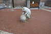 20230218135808-DSCN5273.JPG