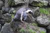 20230219081708-DSCN5286.JPG