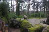 20230219083112-DSCN5294.JPG