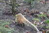 20230219083539-DSCN5300.JPG
