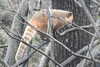 20230219083548-DSCN5301.JPG
